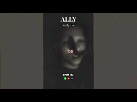 ALLY   PIG (Tradução PT-BR)